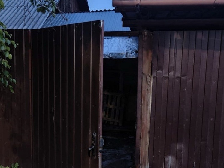 "Ножом в спину" Новосибирец пойдет под суд за убийство сожительницы