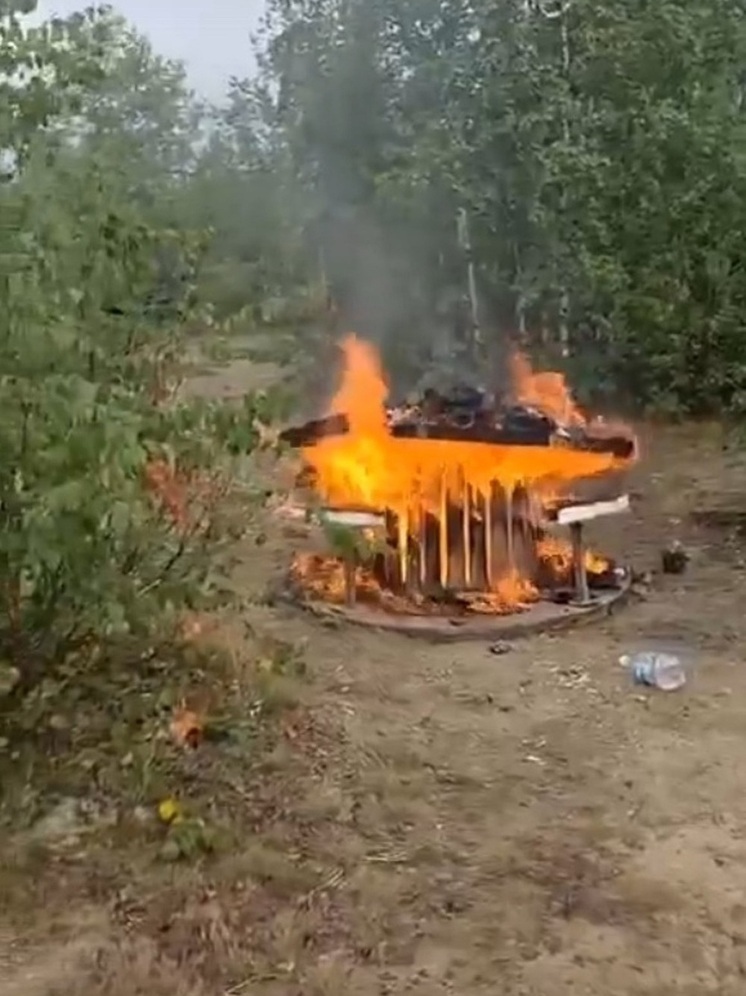 Отдыхающие едва не спалили лес, оставив непотушенные угли в мангале в Новом Уренгое