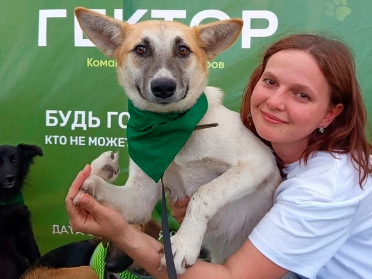 Пушистое нашествие: как хвостатые захватили брянские сердца