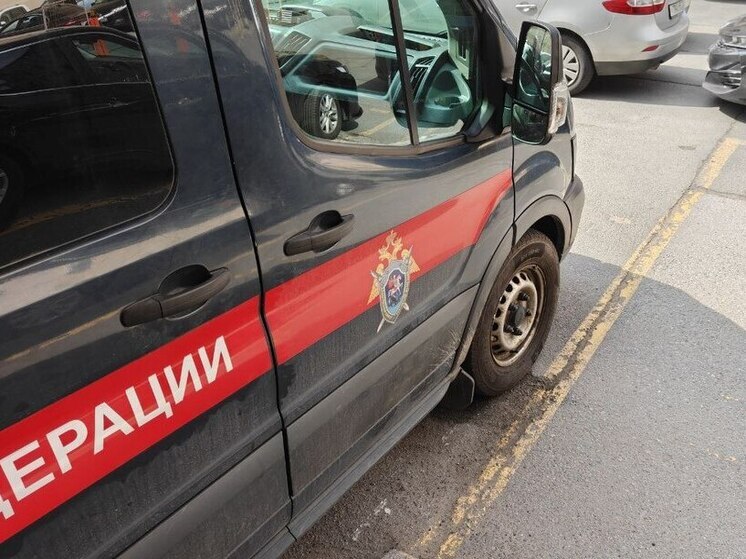 Бастрыкин взял дело о пальбе в подростка-доставщика еды в Петербурге под свой контроль