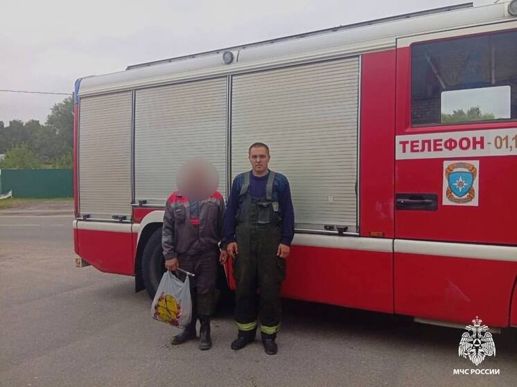 В Тверской области вывели из леса потерявшихся грибников