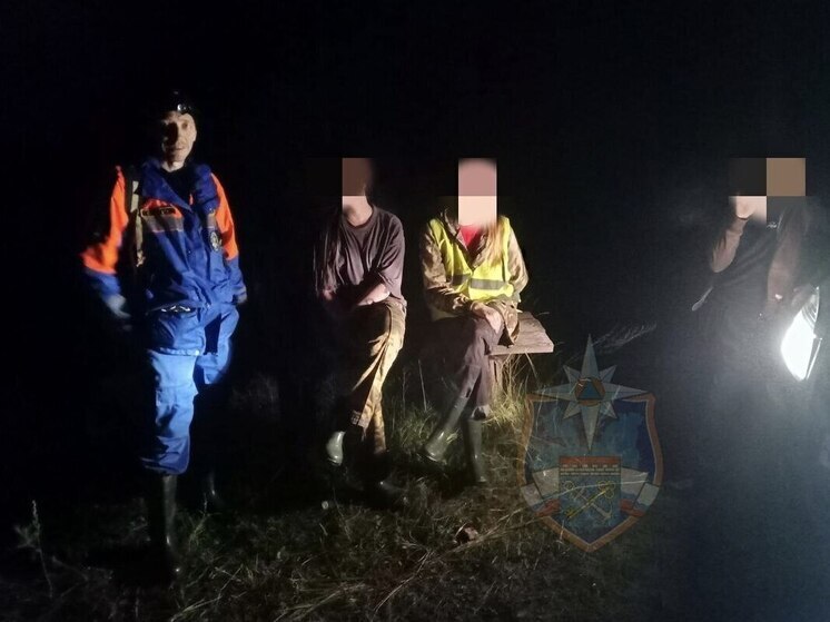 Спасатели помогли заблудившимся в лесу в Киришском районе