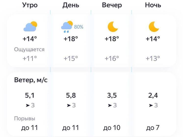 Пензенцев ожидает дождливый день 19 августа