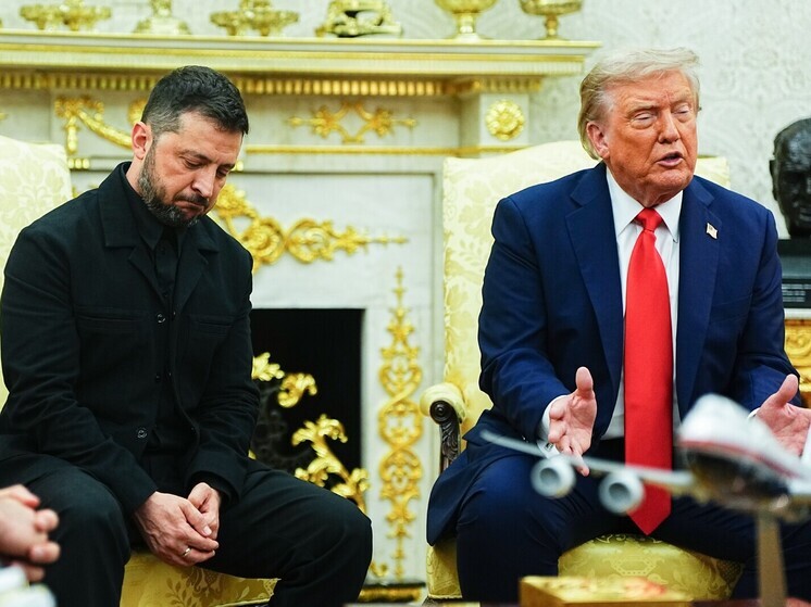 Щенячья покорность: Зеленский унизился перед Трампом