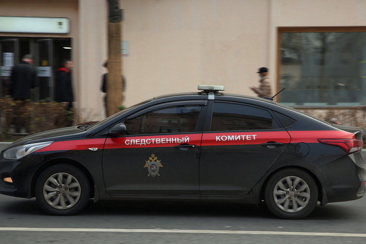 Отдыхавшая в лагере девочка умерла от реппелентов в российском регионе