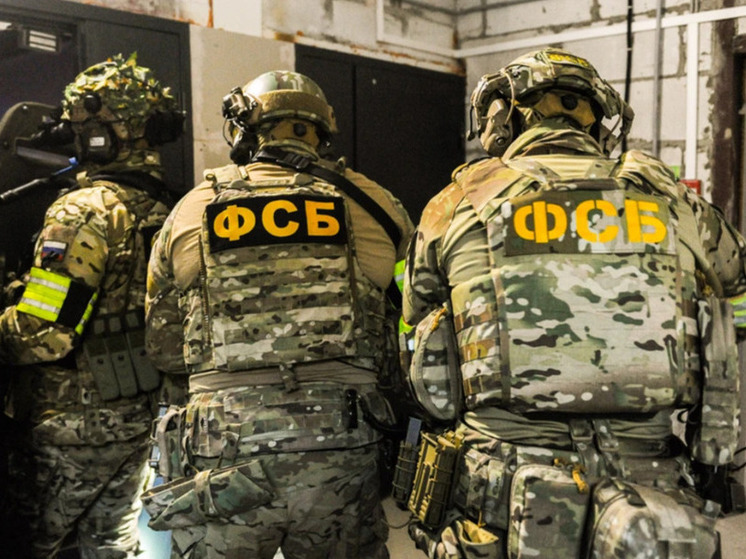 В ЛНР задержали мужчину, готовившего взрывное устройство для теракта