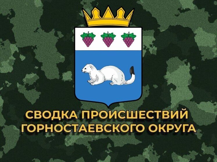 За сутки ВСУ 29 раз обстреляли Горностаевский округ Херсонской области