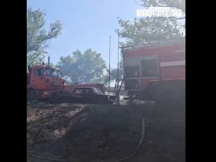 Общая площадь пожара в Станично-Луганском районе ЛНР достигла 500 га