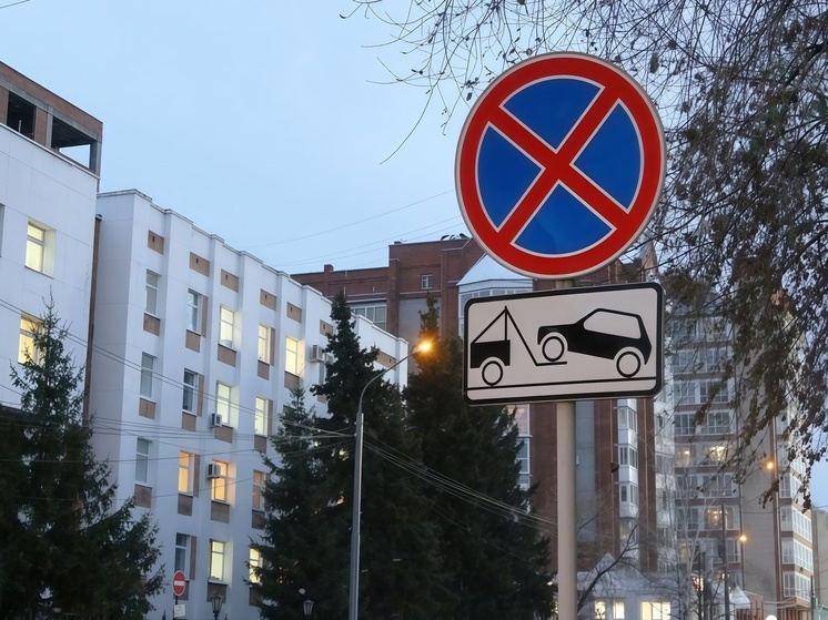 За прошедшую неделю на томских дорогах зафиксировано 49 случаев пьяного вождения