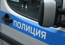 Стали известны детали получившей резонанс драки возле железнодорожной платформы Лесная Ярославского направления (Электростальский городской округ), в которой пострадал пожилой мужчина