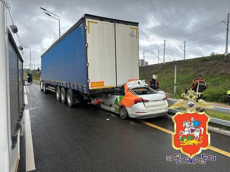 Двое погибли в лобовом столкновении каршеринга с грузовиком в Подмосковье