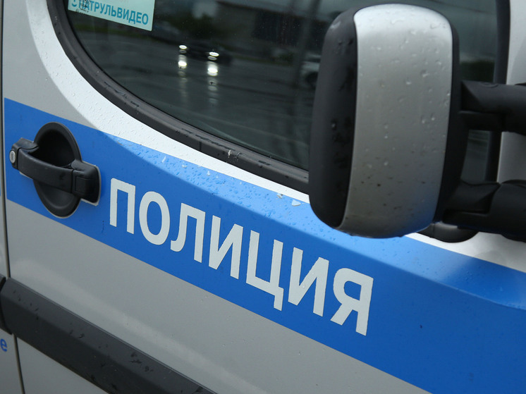 Стали известны детали получившей резонанс драки возле железнодорожной платформы Лесная Ярославского направления (Электростальский городской округ), в которой пострадал пожилой мужчина