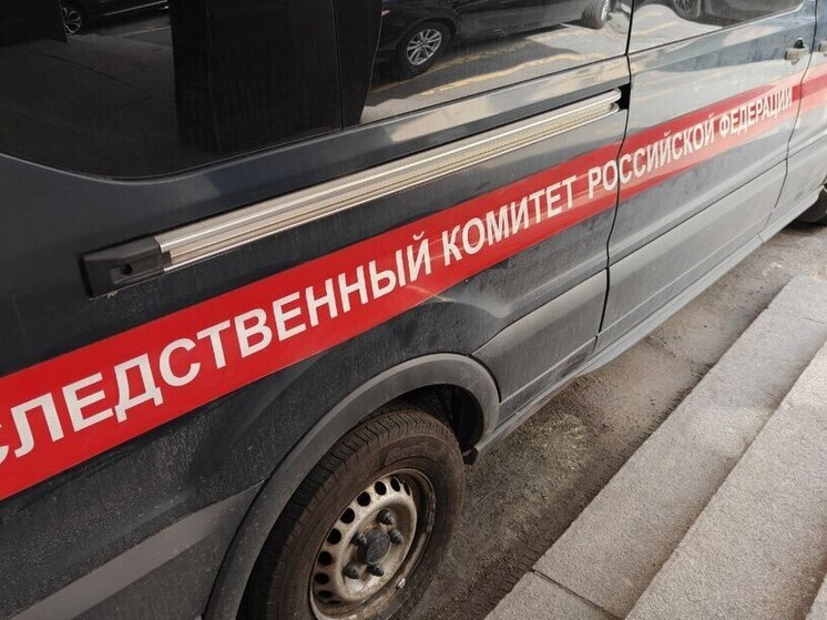 Бастрыкин заинтересовался делом об избиении петербурженки на Богатырском проспекте