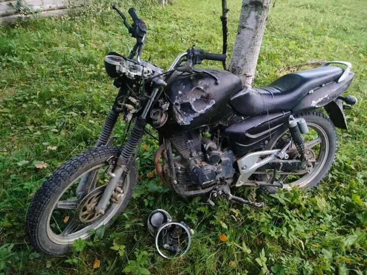 Подросток на мотоцикле столкнулся с лошадью в Архангельской области