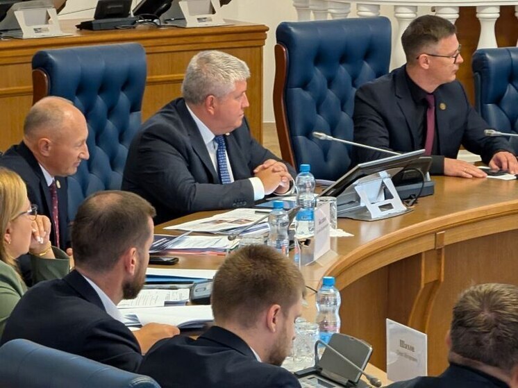 «Есть куда развиваться»: Александр Дронов оценил инвестиционный климат Новгородчины