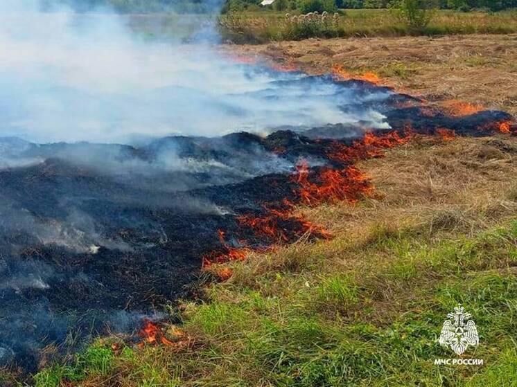Четыре вызова за день: огнеборцы боролись с огнем в Курском районе