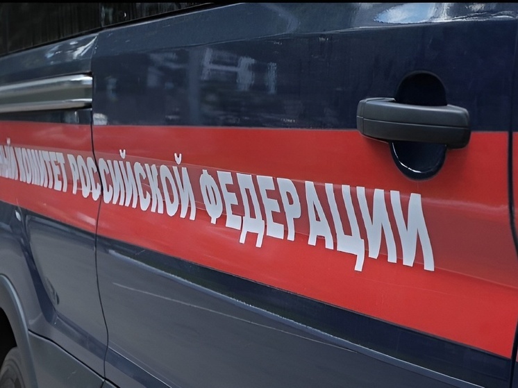 После убийства женщины в Донском следователи возбудили уголовное дело