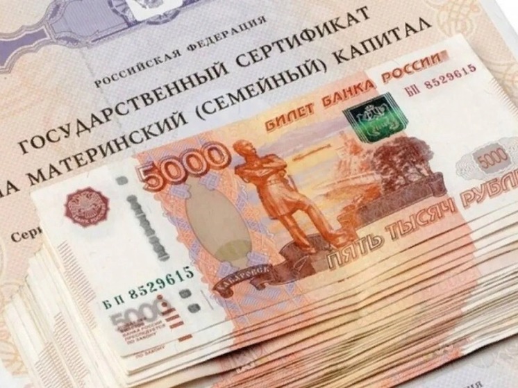 Элистинки вернут в бюджет средства маткапитала