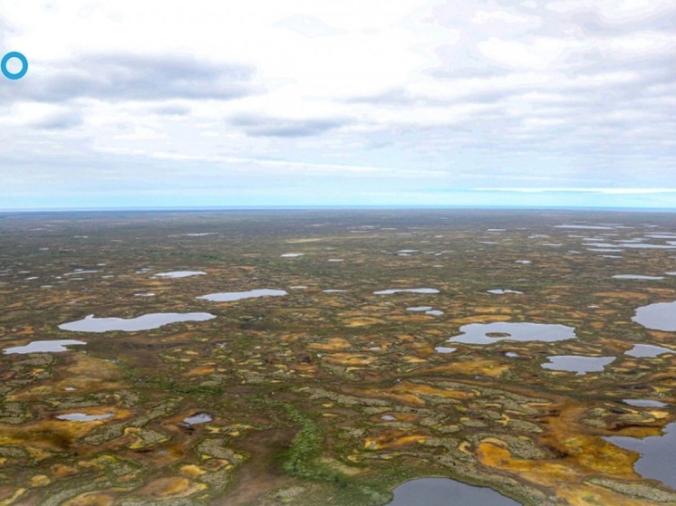 В НАО проходит общественное обсуждение акт ГИКЭ