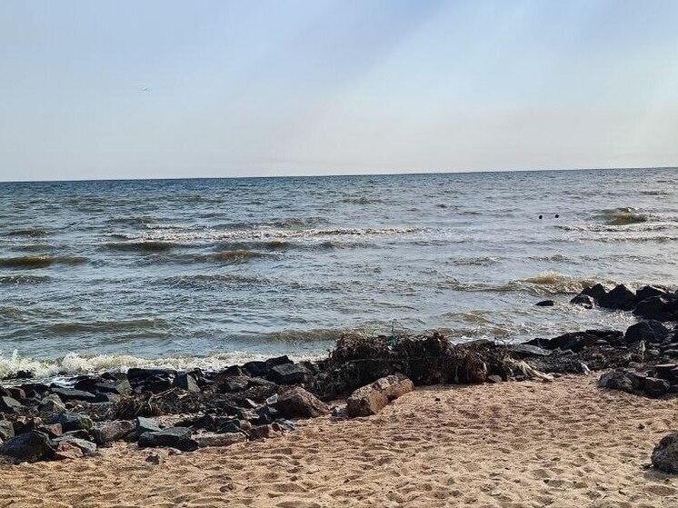 Опреснение воды Азовского моря не решит водный дефицит в ДНР