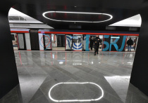83-летняя доцент кафедры русского языка и прикладной лингвистики одного из столичных вузов упала на пути на станции «Кленовый бульвар» Большой кольцевой линии (БКЛ) и получила травмы