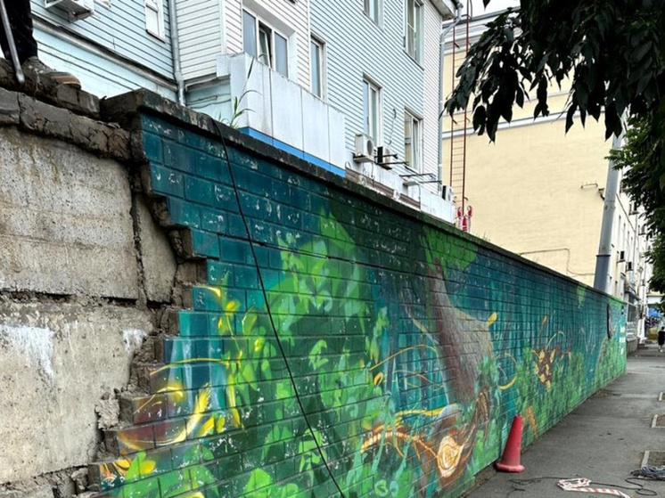 Подпорные стены на Партизанском проспекте ремонтируют во Владивостоке