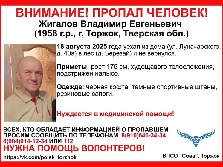 В Тверской области мужчина уехал в лес и пропал