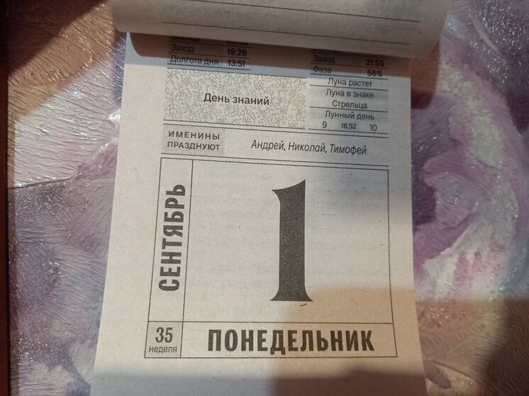 Саратовцам пояснили, как взять выходной на День знаний