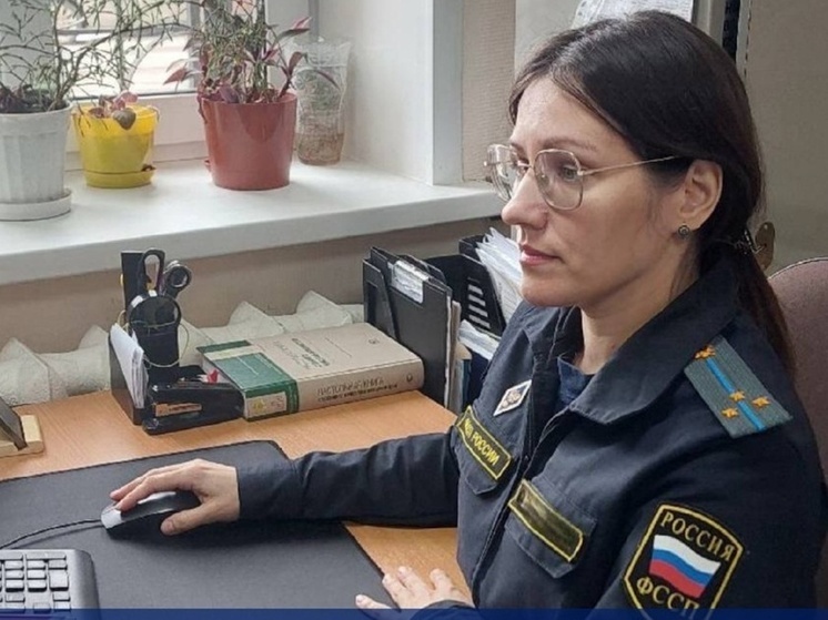 Тулячка с 17 штрафами ГИБДД погасила долги после вмешательства приставов