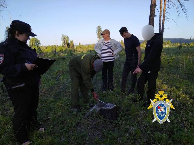 19-летний забайкалец предстанет перед судом за незаконную рубку леса на 7,5 млн рублей