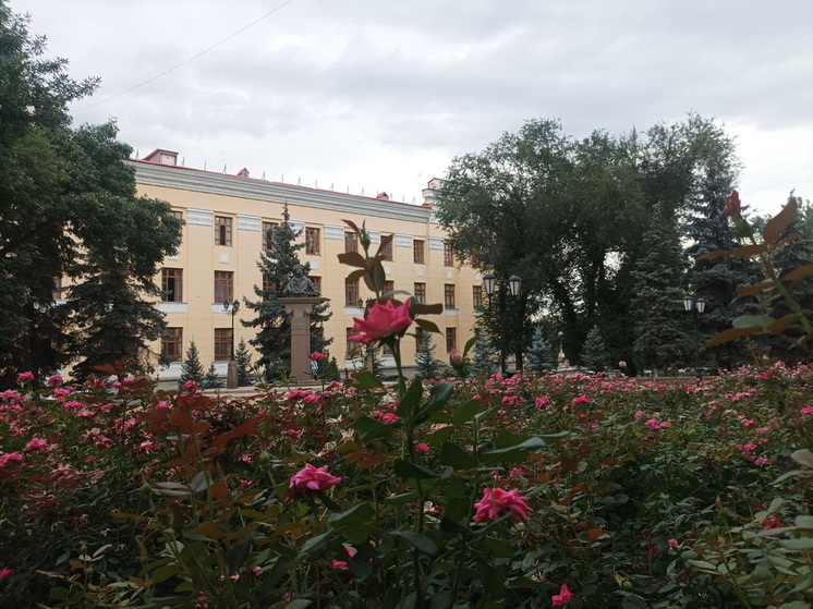 Как город у гор превратился в зеленый рай