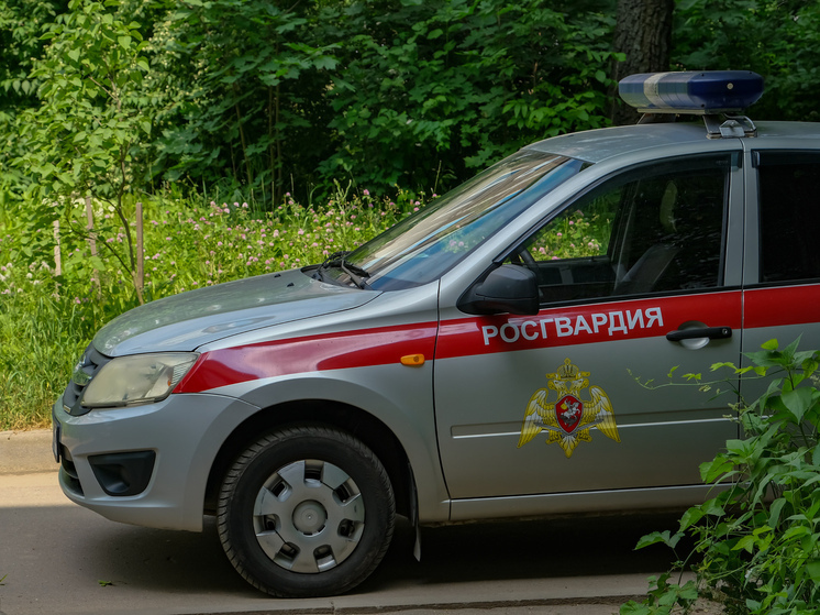 Смоленские росгвардейцы за прошедшую неделю около 100 раз выезжали по сигналу «тревога»