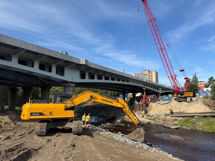 Названа дата открытия Лобановского моста в Петрозаводске
