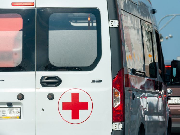 Врачи Калининской ветклиники избавили собаку с опухолью весом 7 кг