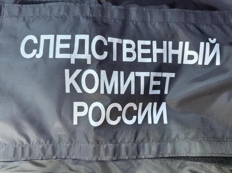 Собака набросилась на подростка в Лабытнанги