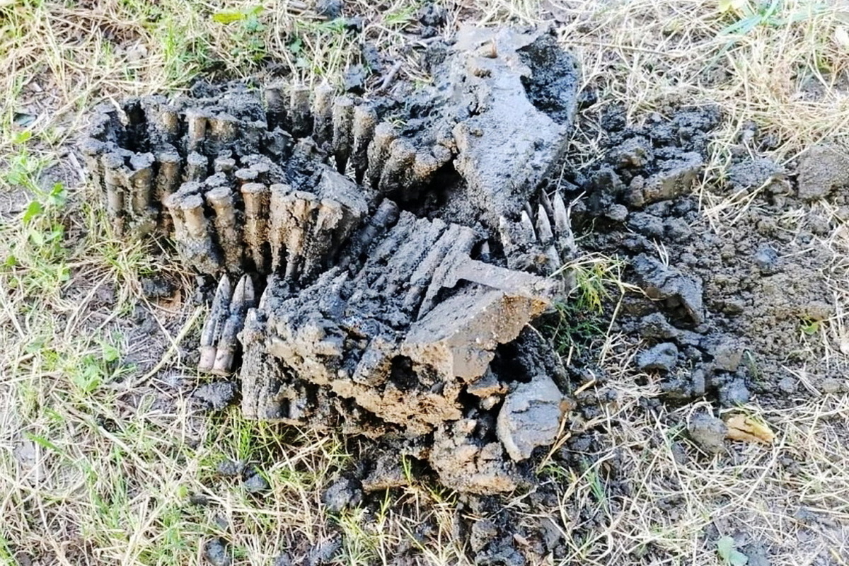 Тайник с патронами убитого террориста обнаружен в российском регионе
