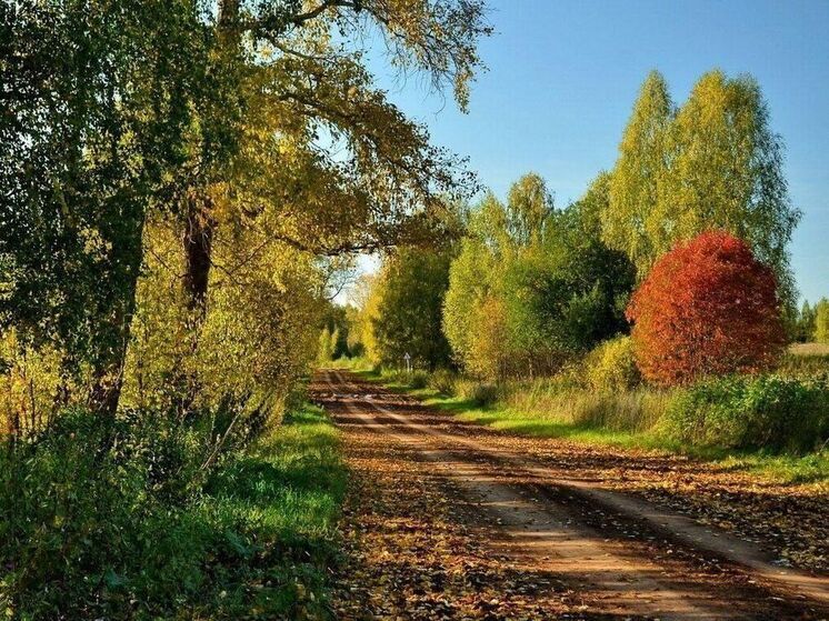 Синоптики пообещали ивановцам продолжительное бабье лето