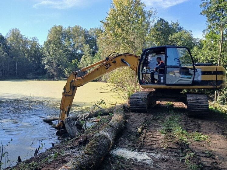 Территорию у озера Комсомольское благоустроили в Пушкинских Горах