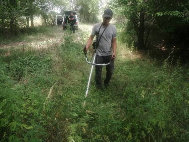 В Астраханской области за два дня изъяли более 600 грамм наркотиков и возбудили 6 уголовных дел