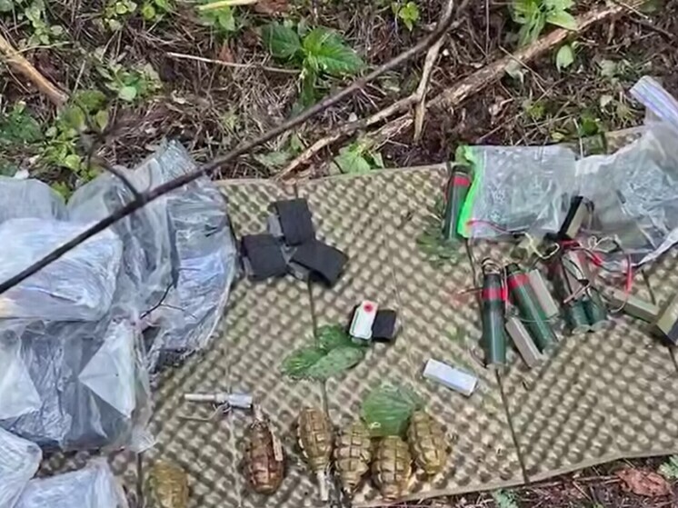 ФСБ: российские силовики разгромили в Брянской области украинскую диверсионную группу