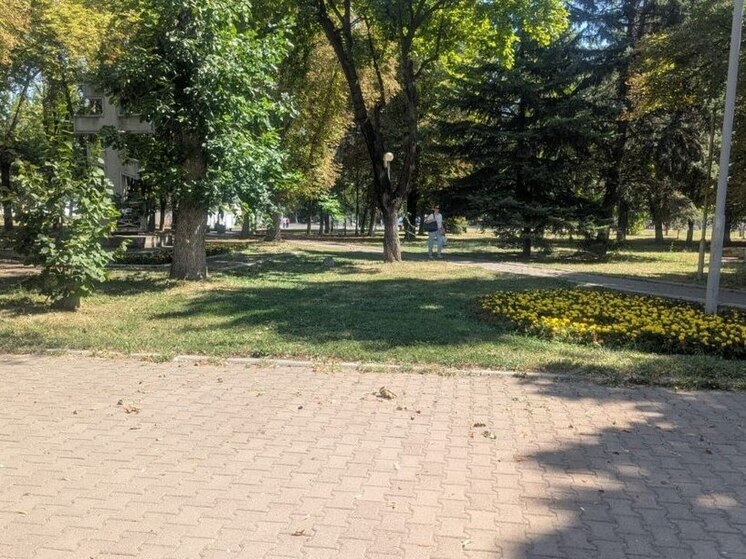 В Ессентуках городские территории обрабатывают от амброзии