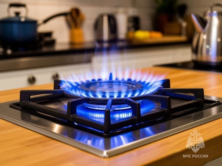 Как псковичам сохранить безопасность в быту: правила обращения с газом