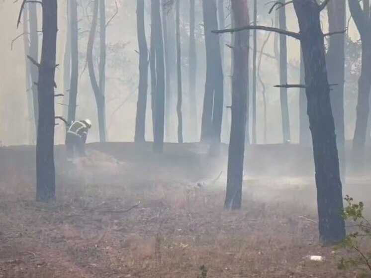 Более трех сотен строений в Станице Луганской пострадали в результате пожаров