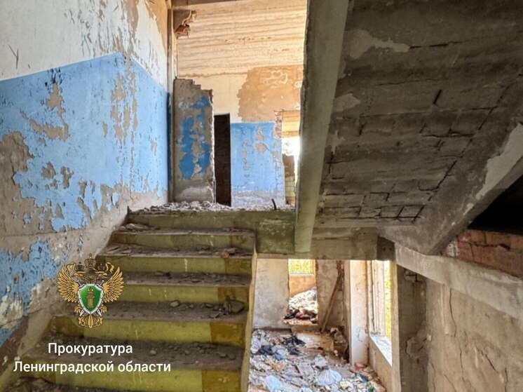 Прокуратура нашла множество нарушений использования бывшего завода в Лодейном поле