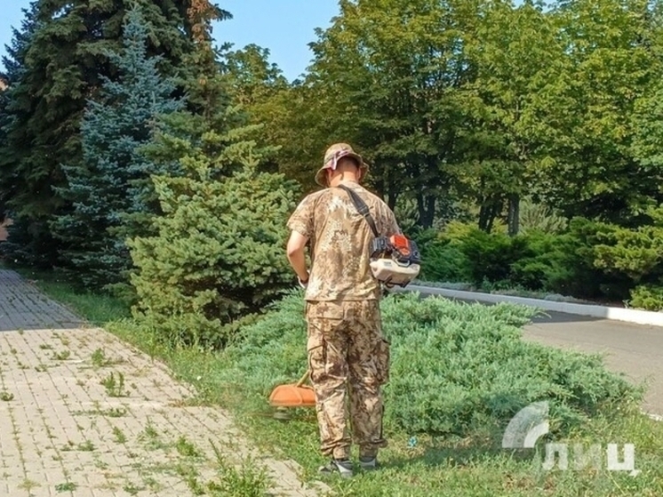 ЛНР активно участвует во всероссийском конкурсе благоустройства