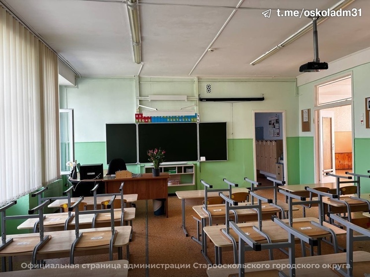 Власти Старого Оскола опровергли слухи о насекомых и грызунах в школе