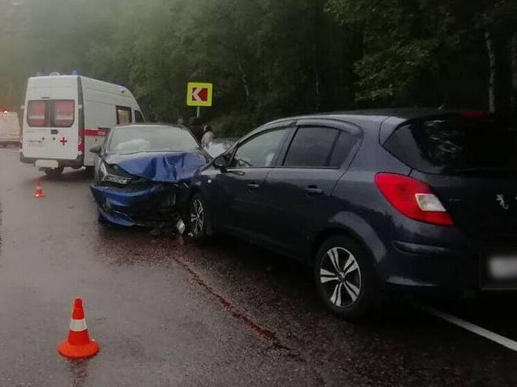 Женщина и двое детей пострадали в аварии из-за нарушителя ПДД в Кольском районе