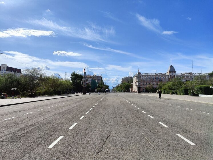 Власти Читы не планируют создавать отдельное предприятие для озеленения