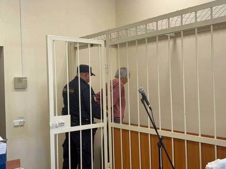 Подозреваемого в убийстве женщины в Калининском районе отправили в СИЗО