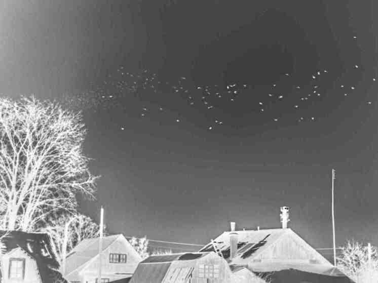 Фотоискусство без границ: туляки завоевывают награды на международном конкурсе
